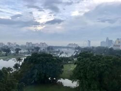 The Riverine By The Park (D12), Apartment #549504871